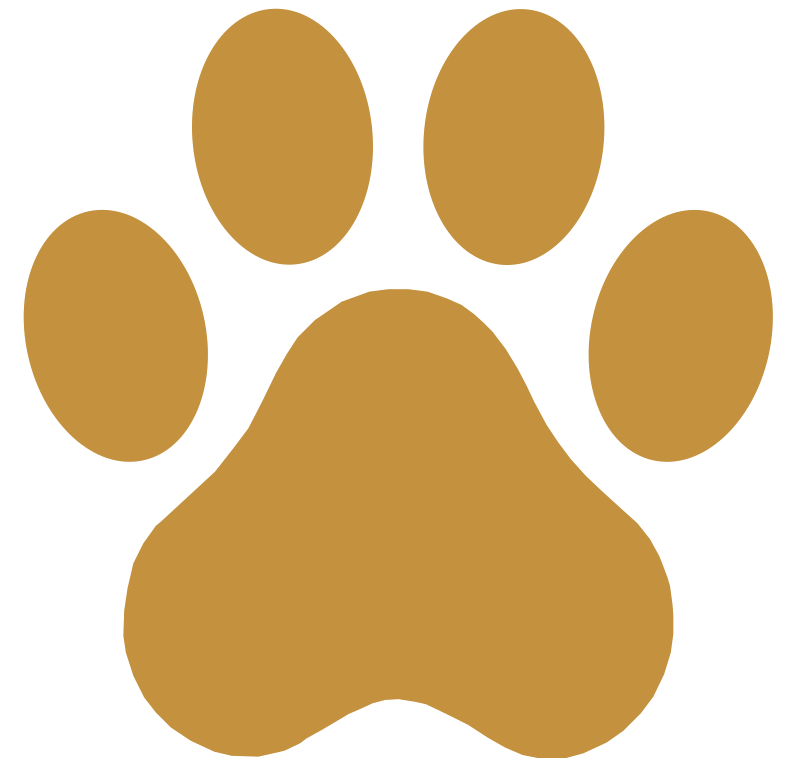 paw